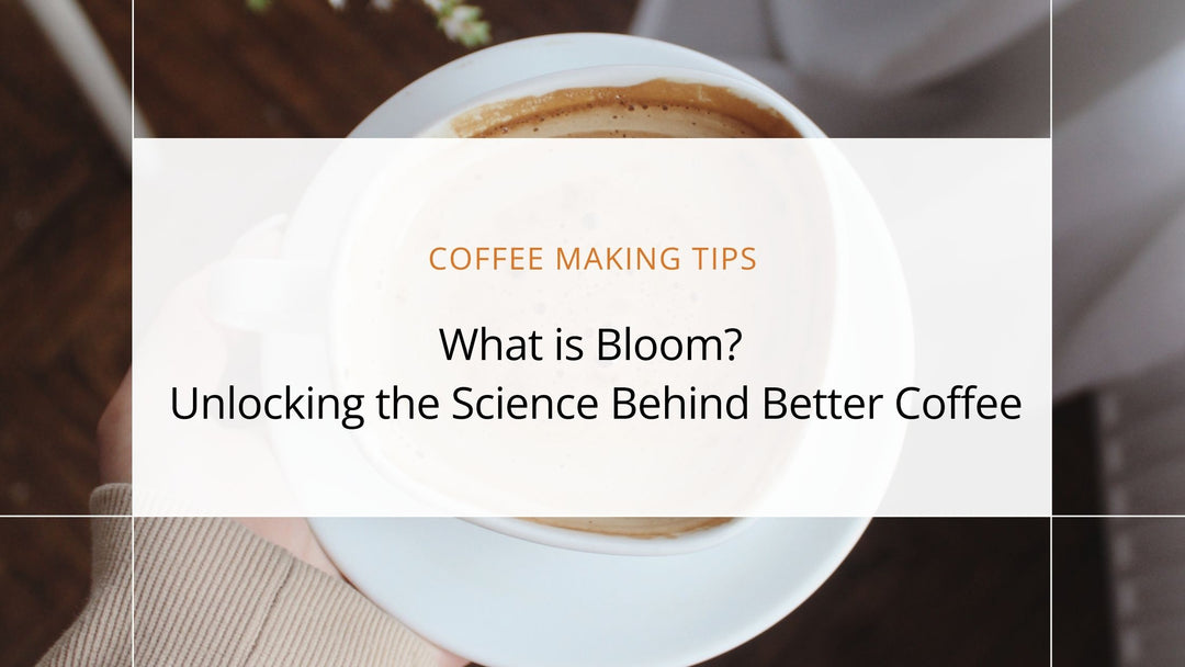 What is Bloom? Unlocking the Science Behind Better Coffee